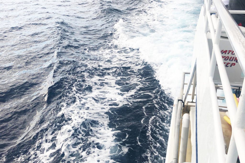 boat tour in maui - aurooba ahmed