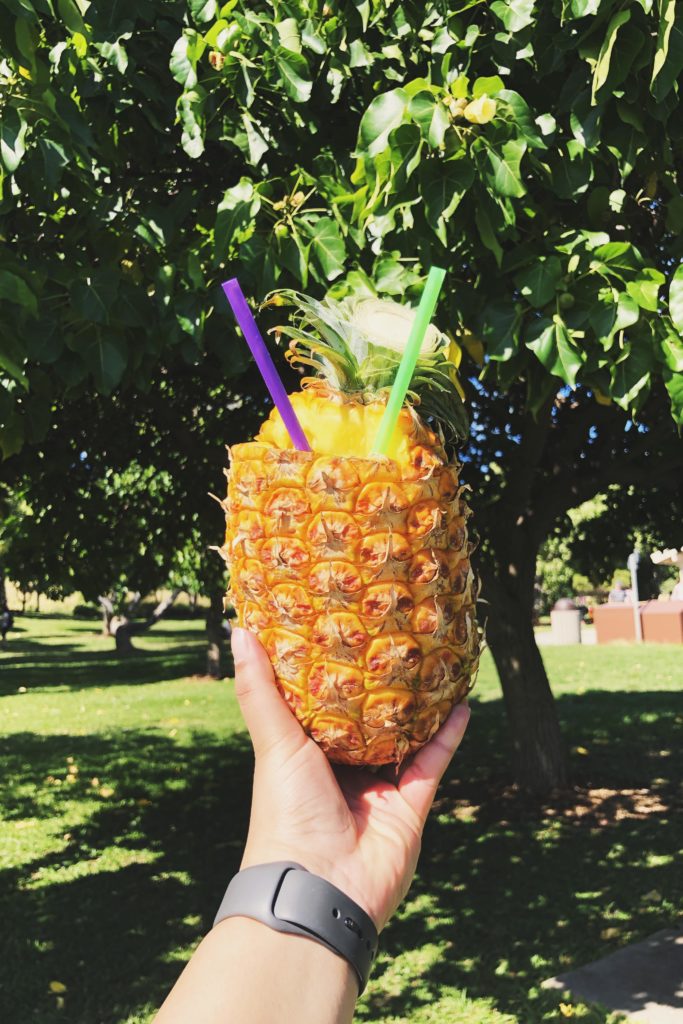 pineapple-smoothie-diamondhead-honolulu-aurooba-ahmed